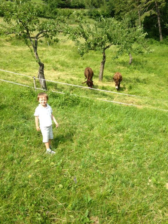 Relais Fior Di Bosco